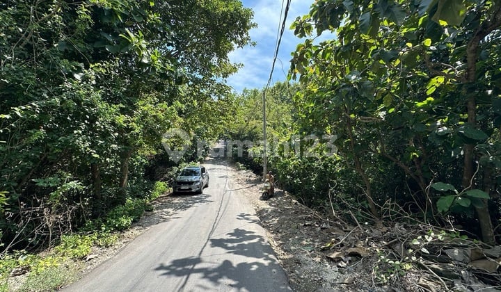 Tanah Indah di Kawasan Padang Padang Sangat Cantik
