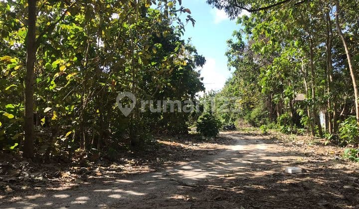 Fast Sale Land In Puri Gading Freehold