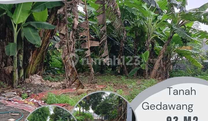 Kavling Siap Bangun di Gedawang Lingkungan Sudah Terbentuk dan Jadi Dekat Pasar Gedawang