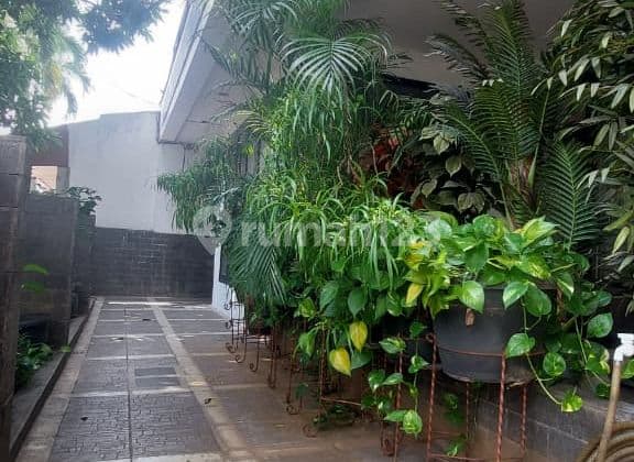 rumah hommy dilokasi strategis 2 lantai di Bintaro siap huni FJ0502