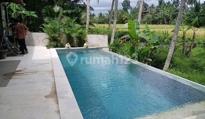Turnkey Hospitality Business & Property For Sale In Tampaksiring