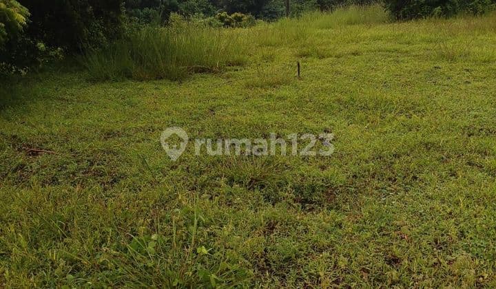 Cheap land is good for investment