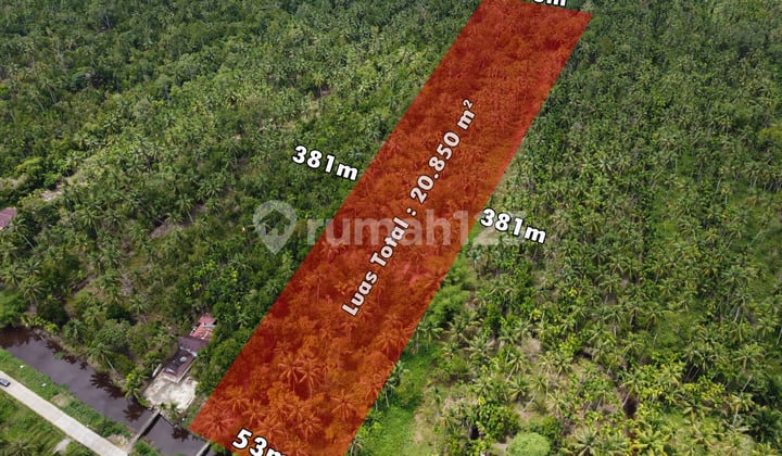 Land by the Road, Sungai Bemban, Kubu Raya