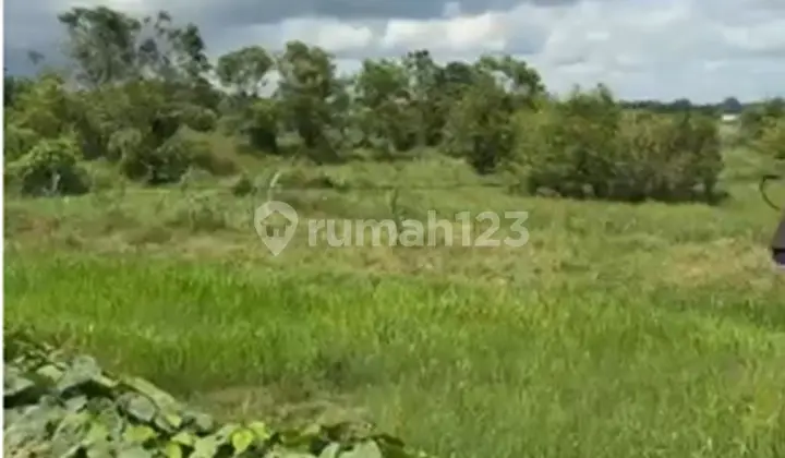 Translation: For Sale 2.3 Hectares of Land at KM 37, Samboja