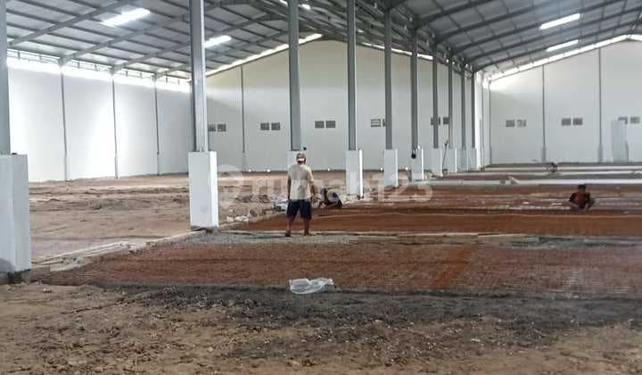Gudang Baru Disewakan di Cikande