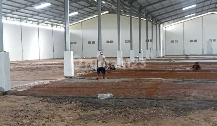 Gudang Baru Disewakan di Cikande