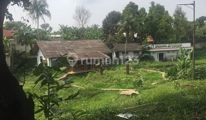 Tanah Luas Harga di Bawah NJOP Lingkungan Asri