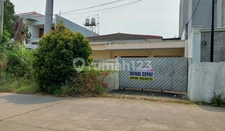 Green Garden Green Garden