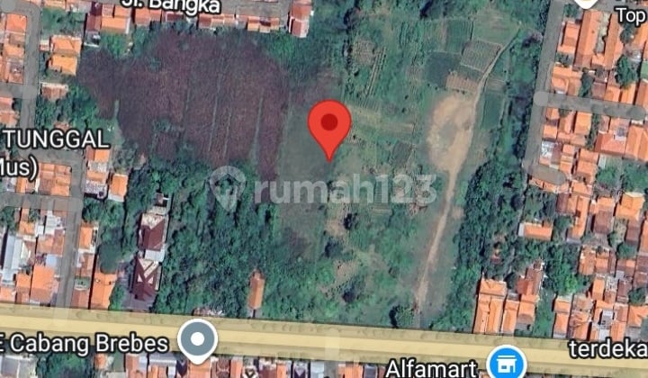 Brebes Kav 2.5ha (sewa)