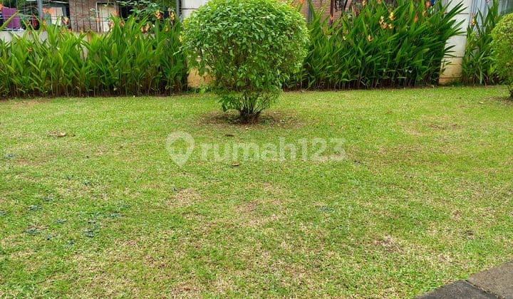 Cluster Plot in Green Garden