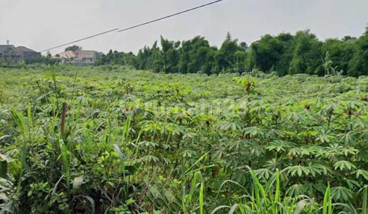 Kavling Golf Estate Bogor