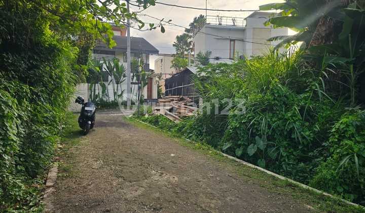 Bebas Banjir Tanah Canggu Brawe Lingkungan Villa Cdw098