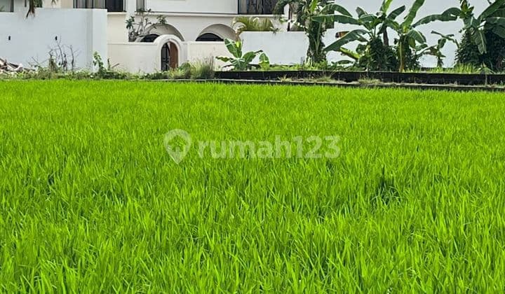 Villa Modern Siap Hunid di Buduk Dekat Canggu Cwr098