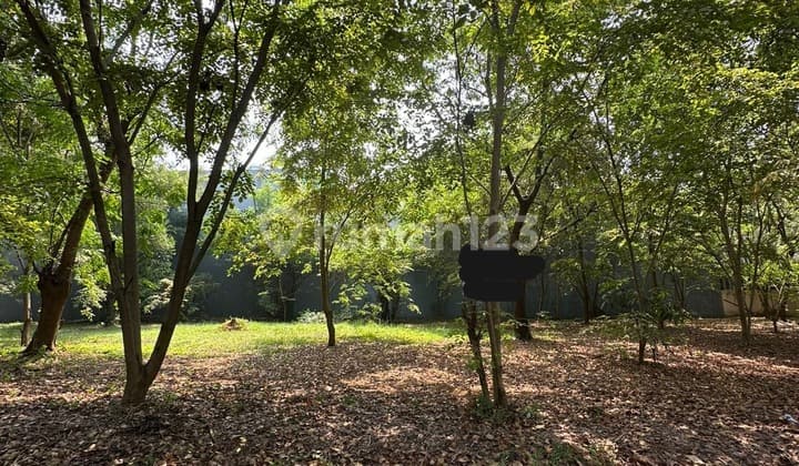 Affordable Pinisi Plots for Sale in PIK, Area 544m²