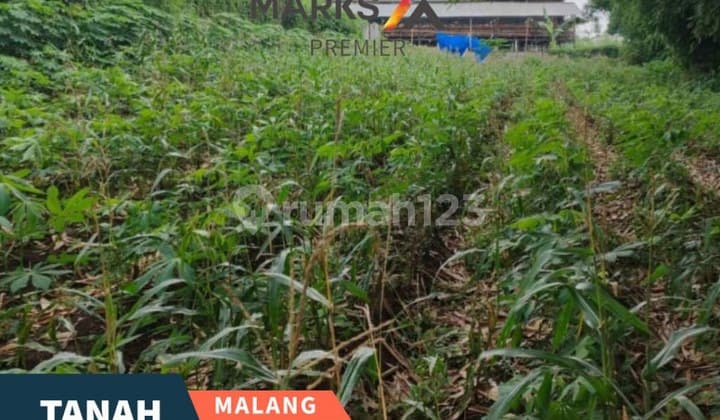 Dijual Cepat Tanah Siap Bangun untuk Usaha di Mulyorejo Malang