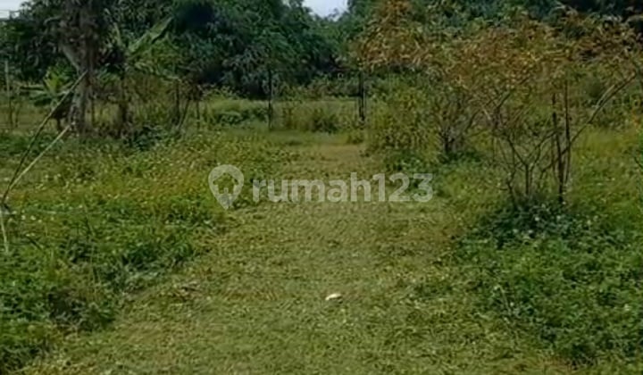 Tanah Rata Siap Garap di Cibinong Bogor