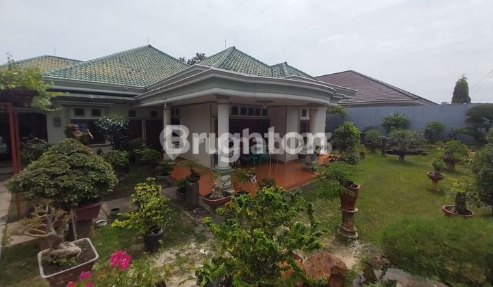 Rumah Murah, Asri & Luas di Bandar Lampung