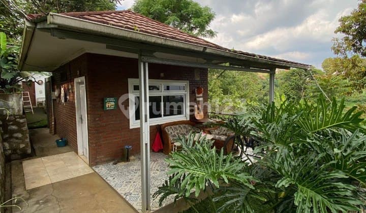 Turun Harga !!! Villa, Cafe Aktif & Camp + Bonus Tanah Kebun
