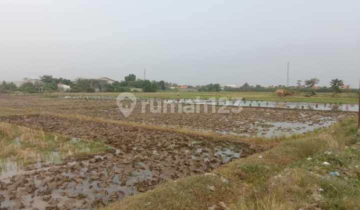 Tanah Cocok Untuk Perumahan