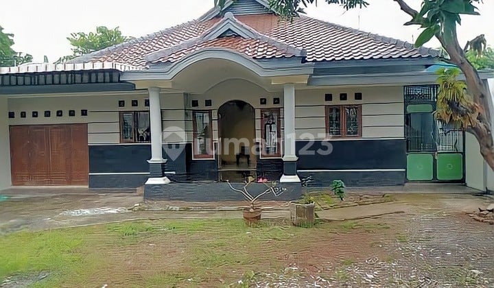 Rumah Siap Huni di Daerah Petarukan