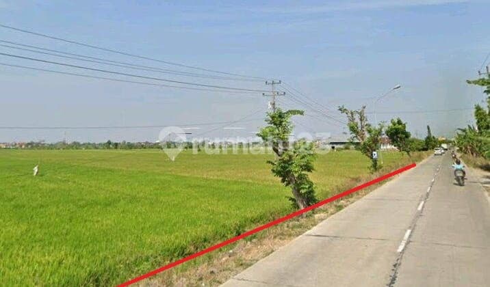 Tanah di daerah Pelutan Zona Industri