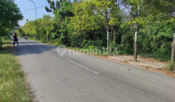 Tanah Dekat Perum Citraland