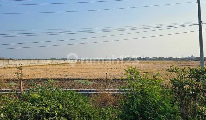 Tanah di Bangsri Zona Industri