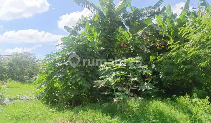 Tanah di Daerah Medono Cocok Untuk Usaha