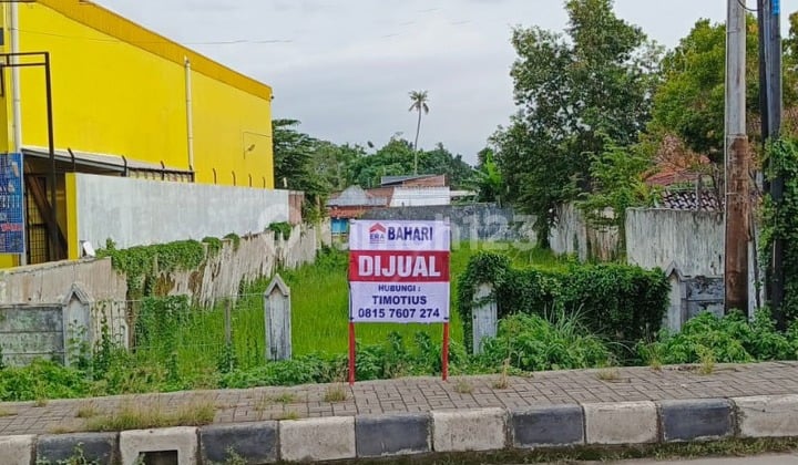 Tanah Sudah Pagar Keliling di Daerah Tirto Cocok Untuk Usaha Tanah Sudah Pagar Keliling di Daerah Tirto Cocok Untuk Usaha