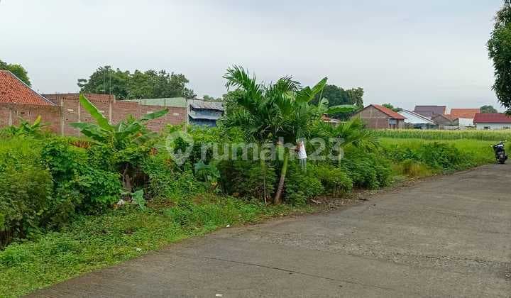 Tanah Dekat Exit Tol Pemalang