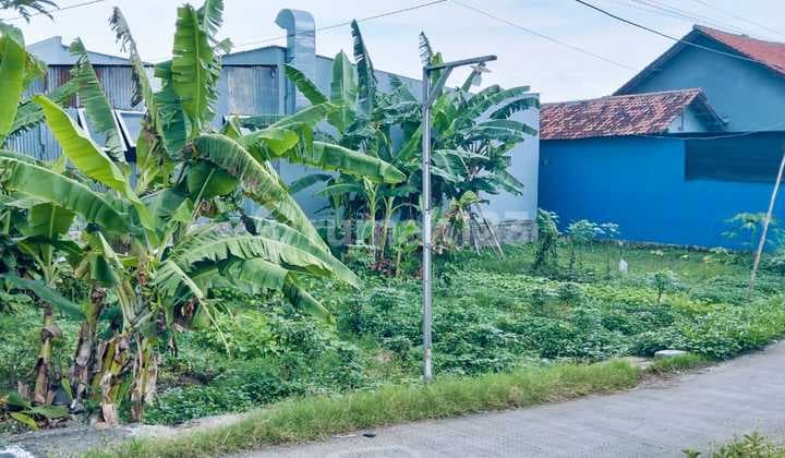 Tanah di Daerah Pantura Tegal Petarukan Dekat Kawan Industri