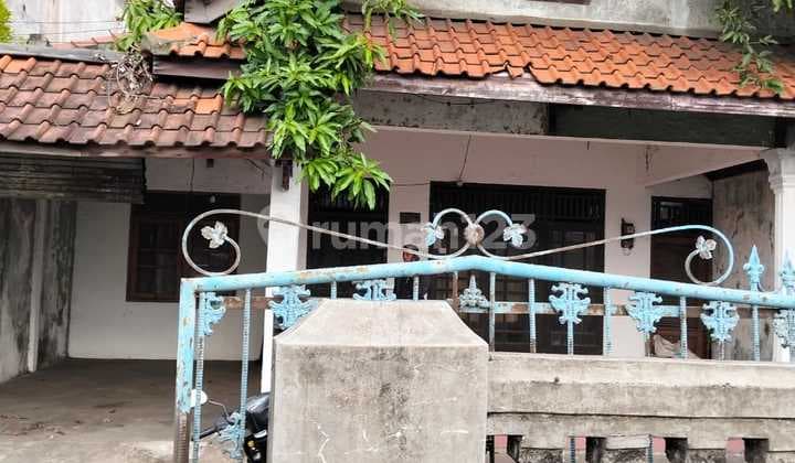 Rumah dan Sarang Walet di Daerah Pantura Tulis