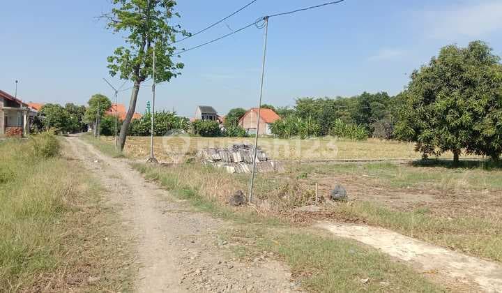 Tanah Cocok Untuk Perumahan