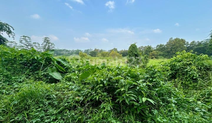 Tanah Ngantong Jalan Raya Cimuning Bekasi Dekat Mutiara Colombus