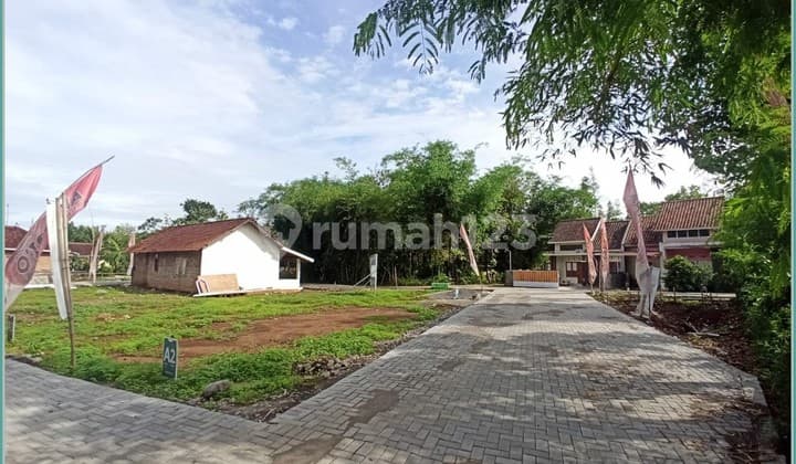 Ready to Build Land at Economical Prices in Sentolo