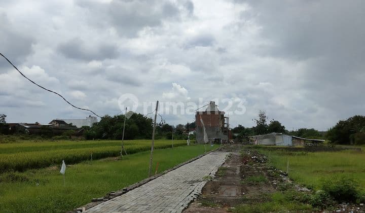 Gaya Hidup Premium di Jogja: Rumah Mewah 3 Kamar dengan Kolam Renang Pribadi