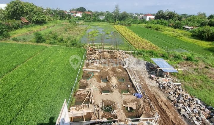 Gaya Hidup Premium di Jogja: Rumah Mewah 3 Kamar dengan Kolam Renang Pribadi