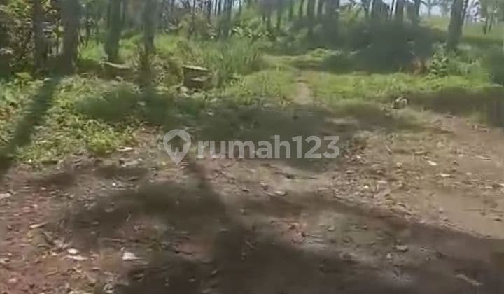 600 Thousand per Meter, Land Area 18.162 m2, Land in Bogor, West Java.