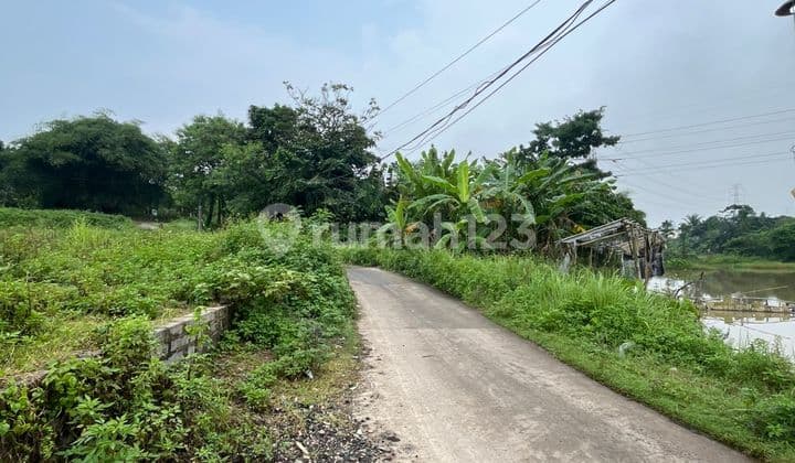 tigaraksa, Dijual tanah tigaraksa 5.200 daerah tangerang