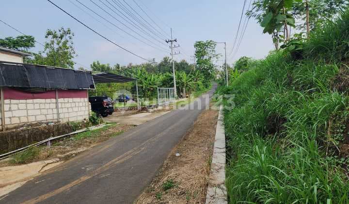 Kav Nol Jalan Unt Perumahan. Samping Dan Belakang Punya Dev Citraland