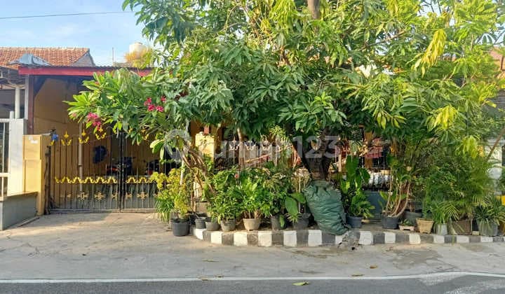 Rumah Dijual 1 Lantai Rungkut Asri 2,35M Lt200 Lb150 Hunian Lapang Akses Merr Rev.a372