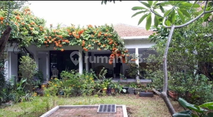 Kemang Jaksel Rumah Siap Huni