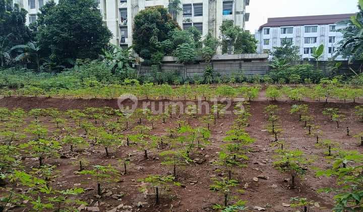 Tanah di Banjaran Pucung Cilangkap Depok