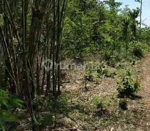 Dijual Cepat Tanah Tenjo The Next Serpong Harga Fantastiikk