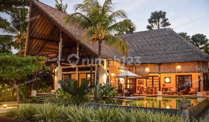 Lovina Beachfront Paradise - Spacious Villa With Pool & Tropical Garden