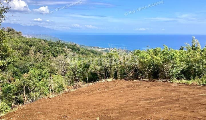 Ocean View Land in Lovina - Perfect for Resort or Private Villa