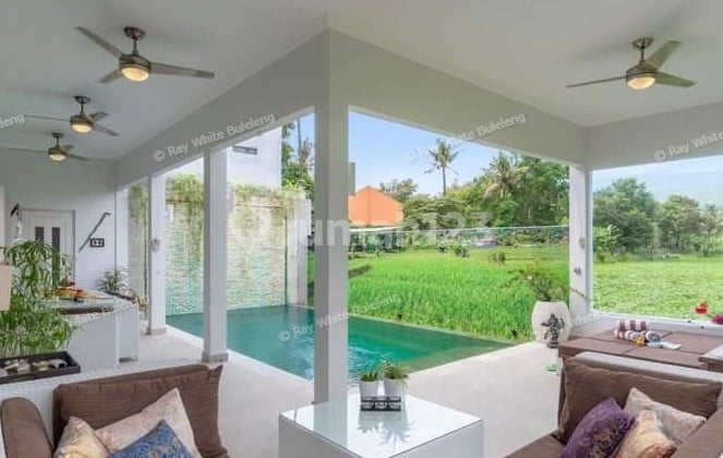 Villa Indah dengan Pemandangan Sawah Dijual di Lovina