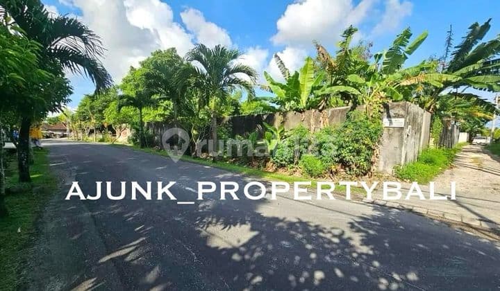 Tanah Premium & Strategis Di Jl. Uma Buluh - Kayu Tulang, Canggu