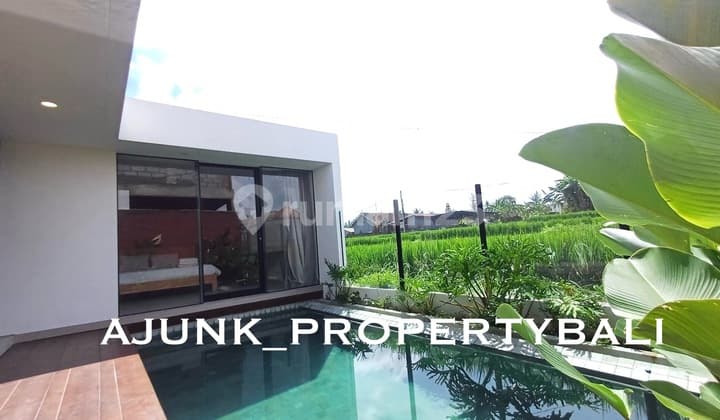 Modern Tropical Style Villa with Rice Field View, 4 Km to Ubud Center, Lodtunduh