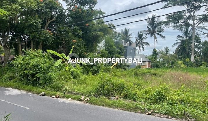 Tanah Strategis Cocok Utk Resto/Vila Jln. Utama Tirta Tawar, Ubud
